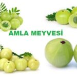 1740222063 106 amla meyvesi