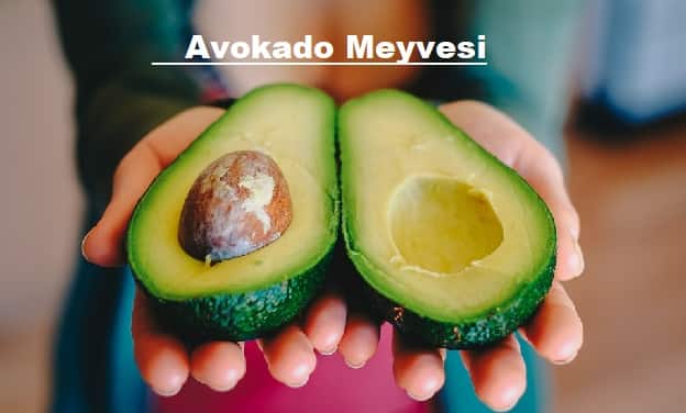 Avokado