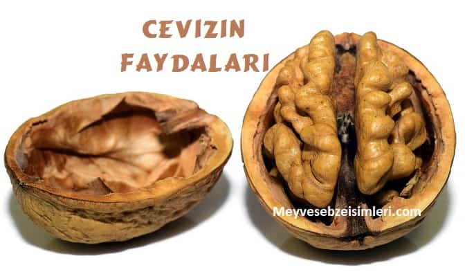 cevizin faydalari