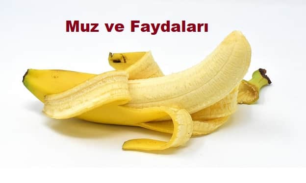 muz banana