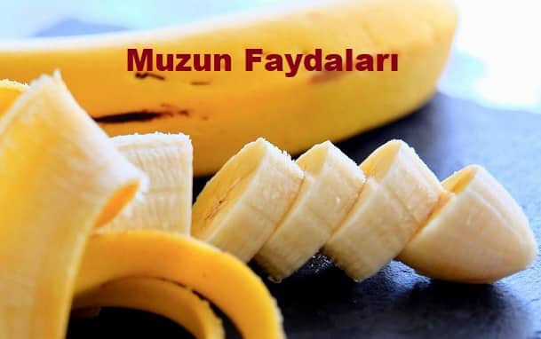 Muzun Faydaları