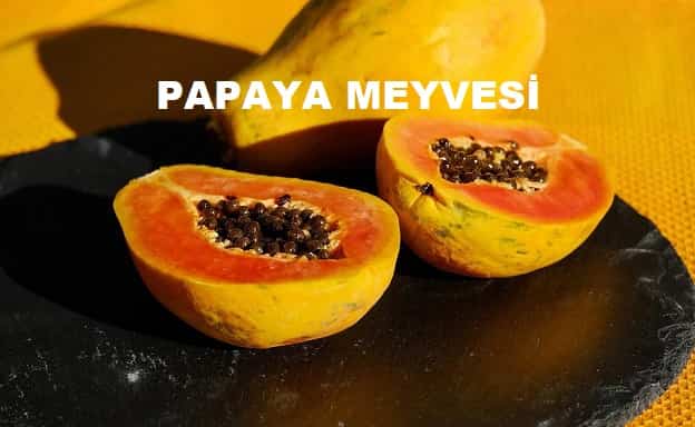 PAPAYA