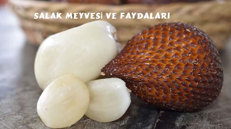 salak yilan meyvesi