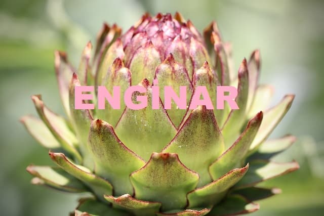 enginar