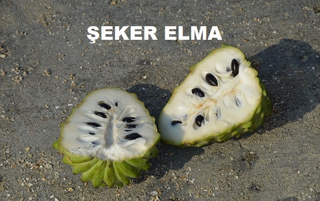 seker elma