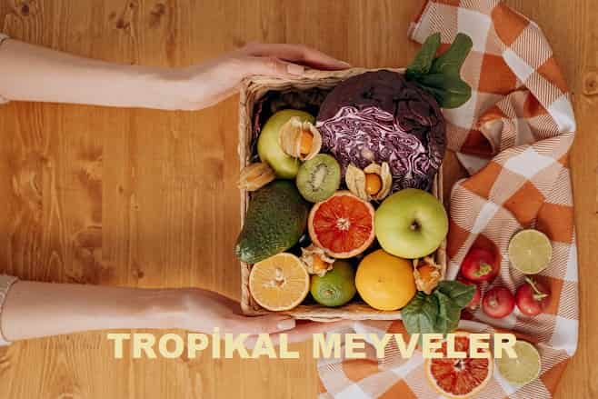 tropikal meyveler