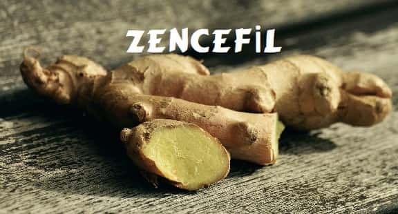 zencefil